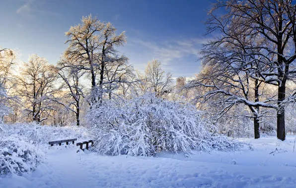Картинка холод, деревья, мост, Зима