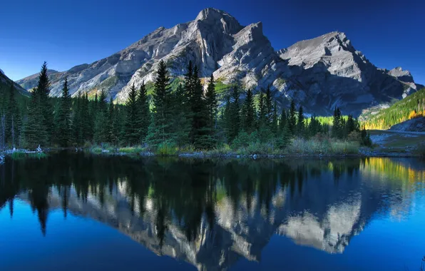 Деревья, горы, озеро, отражение, Канада, Альберта, Alberta, Canada