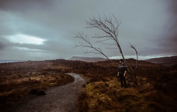Storm, camera, tree, man, path, cloudy