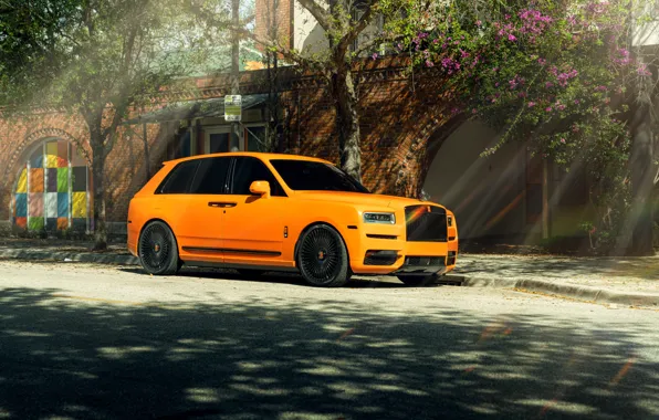 Orange, Rolls Royce, SUV, Greens, Cullinan