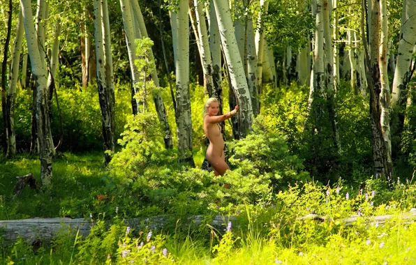 Зелень, лес, грудь, лето, девушка, деревья, природа, дерево