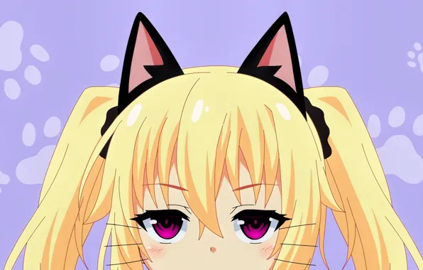 Kawaii, 007, neko, anime, hero, cute, manga, japanese