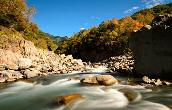 Картинка лес, горы, камни, поток, речка