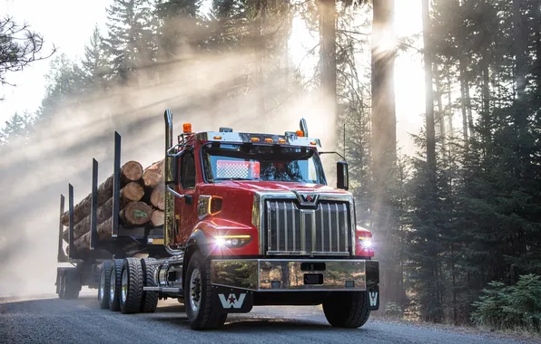 Sunlight, Semi, Logging truck