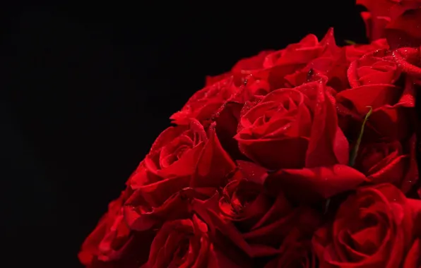 Цветы, красный, роза, букет, red, rose, flowers, bouquet