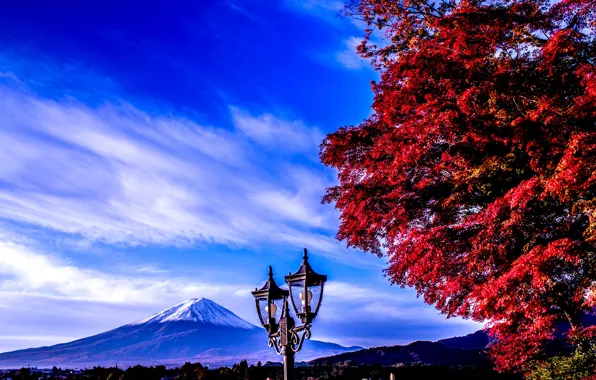Картинка небо, дерево, гора, Япония, фонарь, Фудзияма, fuji