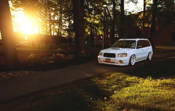 Turbo, white, wheels, forest, subaru, japan, jdm, tuning