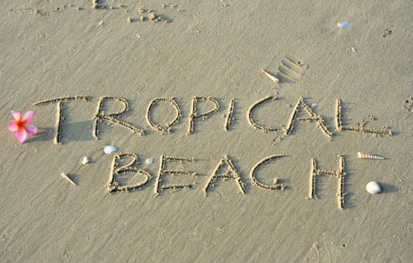 Песок, пляж, beach, sand, tropical