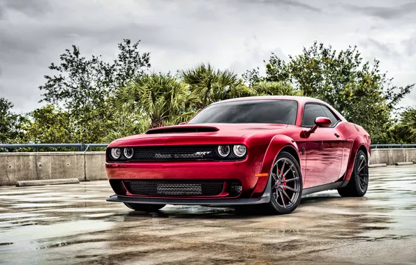 Dodge, Challenger, Demon, Dodge Challenger Demon