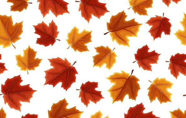 Осень, листья, фон, colorful, клен, background, autumn, pattern