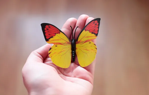 Картинка фон, бабочка, рука