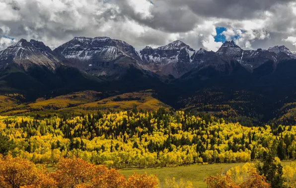 Картинка осень, лес, горы