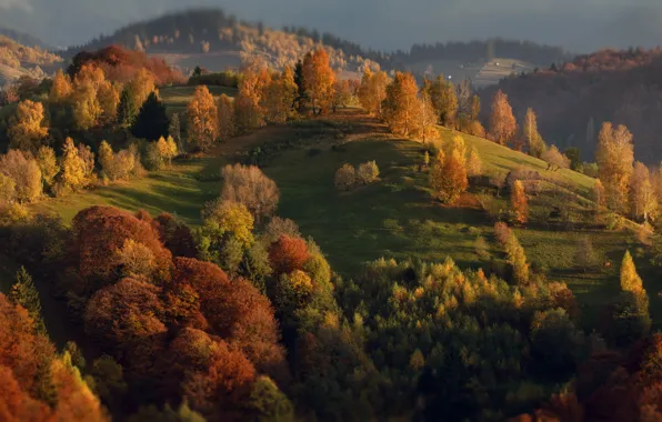 Картинка осень, деревья, пейзаж, природа, холмы, Румыния, Александр Перов