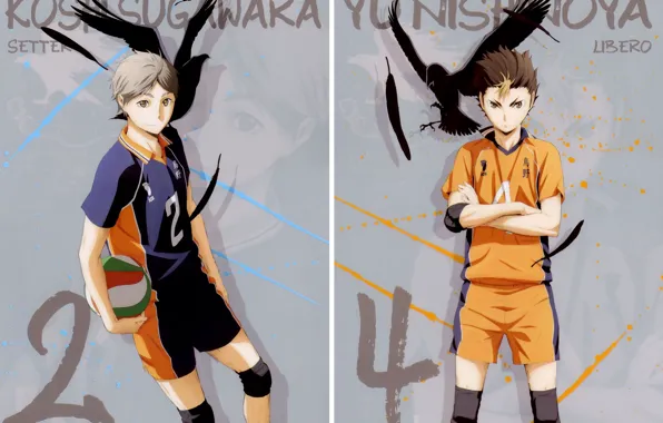 Мяч, перья, вороны, парни, спортивная форма, Haikyuu!!, Волейбол!, Yu Nishinoya