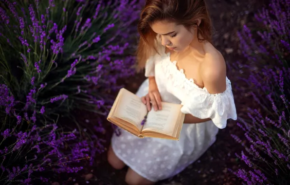 Картинка девушка, цветы, поза, настроение, платье, книга, плечо, лаванда