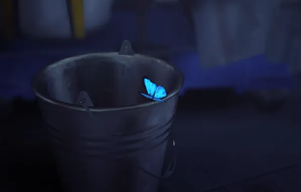 Game, LifeIsStrange, epozoda1