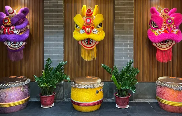 Festival, drum, lion dance