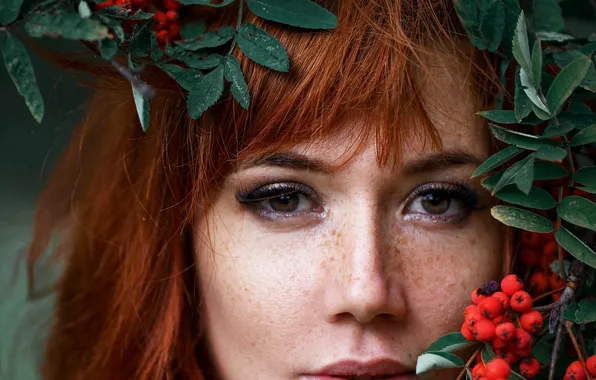 Глаза, девушка, волосы, веснушки, рыжая, рябина, Maksim Romanov