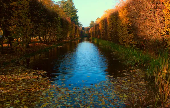 Park, autumn, pond, fall