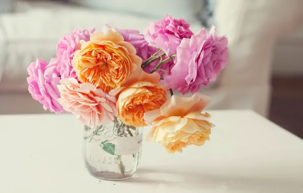 Картинка цветы, розы, букет, лепестки, банка, розовые, оранжевые