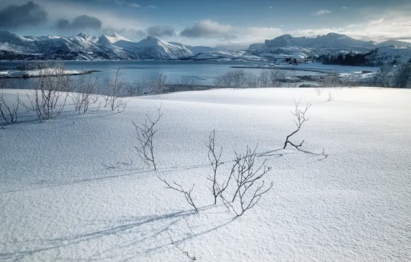 Снег, Norway, Senja