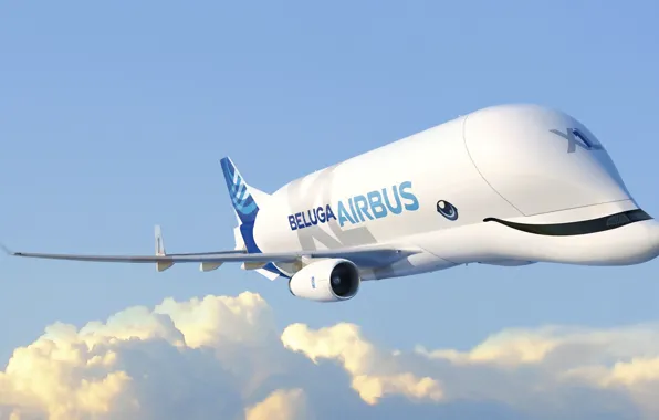 Самолет, Крылья, самолёт, Грузовой, Airbus, Beluga, A300, Airbus Beluga