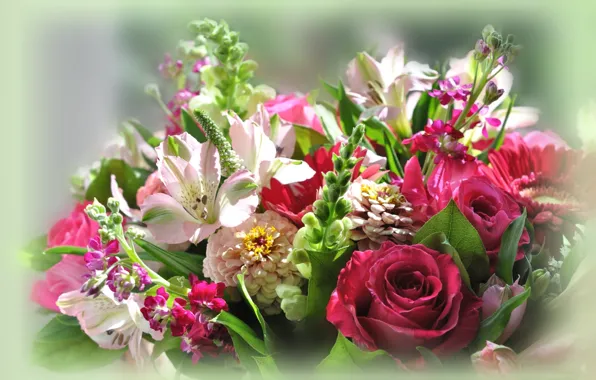 Картинка цветы, фон, букет, композиция