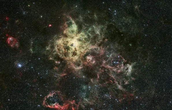 Созвездие, Золотая Рыба, эмиссионная туманность, Тарантул, NGC 2070