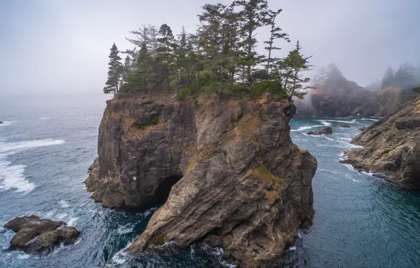 Вода, деревья, природа, океан, скалы, Орегон, дымка, USA