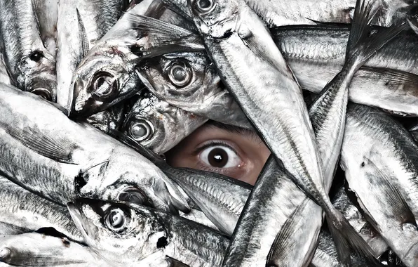 Картинка глаз, рыба, Ichthyophobia