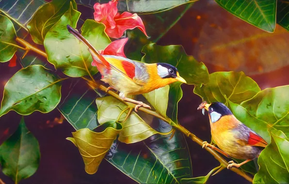Птицы, природа, nature, flowers, birds
