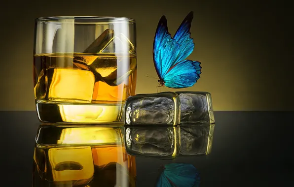 Картинка лед, бабочка, бокал, glass, ice, виски, whiskey, butterfly