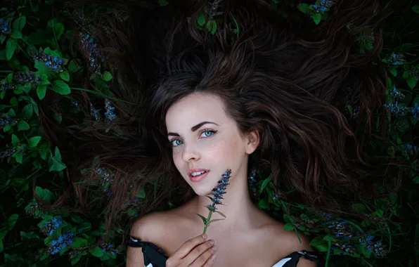 Картинка веснушки, Катя, цветочки, Катюша, Георгий Чернядьев, Forest Fairy