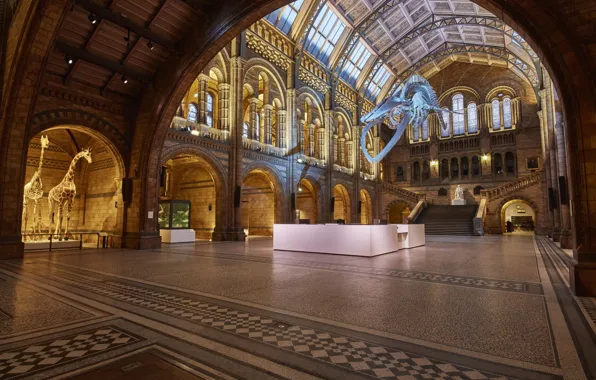 Лондон, London, Natural History Museum, Музей Естественной Истории