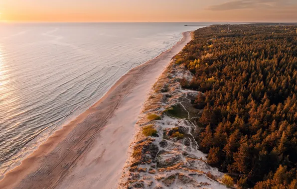 Lietuva, Klaipėda, Plytinė