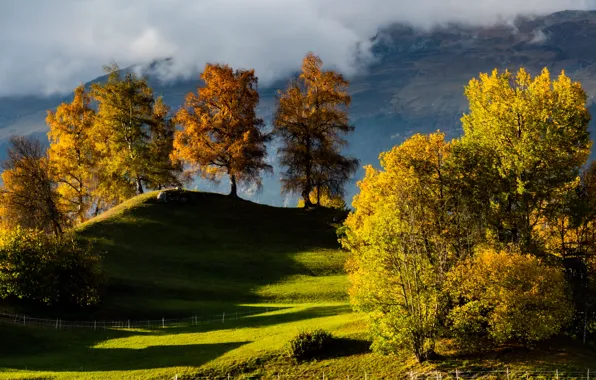 Картинка осень, облака, деревья, пейзаж, горы, природа, холмы, Швейцария