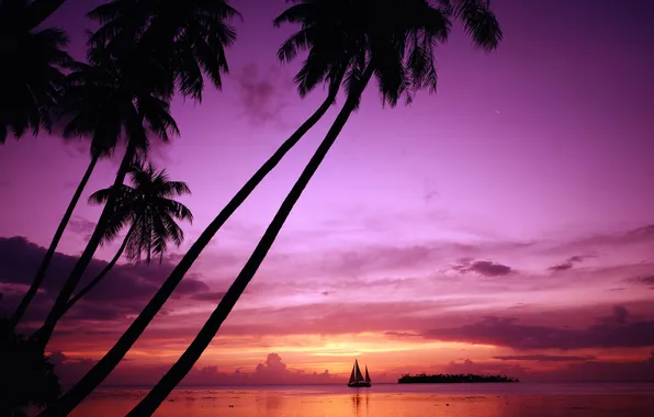 Закат, природа, отдых, остров, путешествие, Tahiti, Таити, French Polynesia