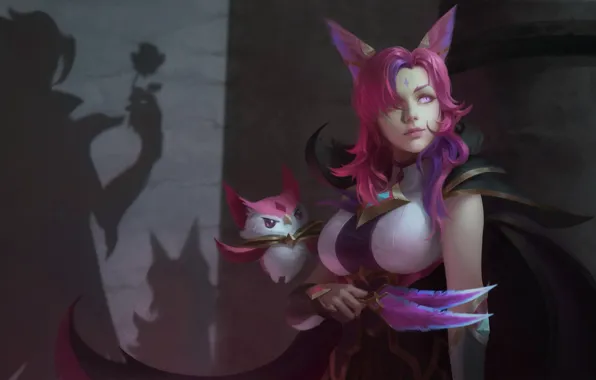 Картинка силуэт, тень, девушка, League of Legends, зверёк