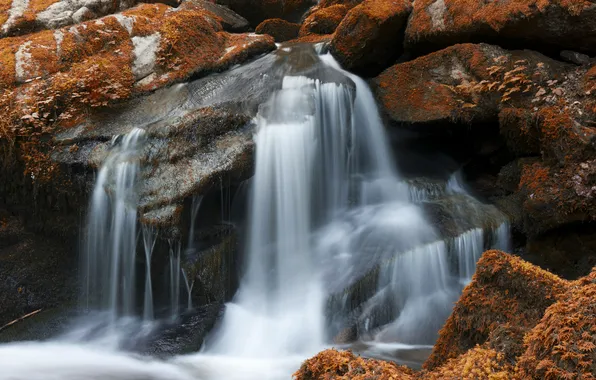 Осень, природа, камни, скалы, растительность, водопад, мох, поток