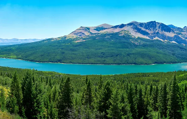 Лес, небо, деревья, горы, озеро, панорама, США, Glacier National Park