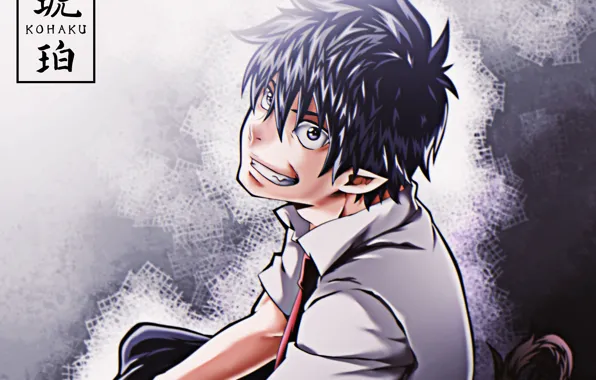 Парень, полудемон, Рин Окумура, Синий Экзорцист, Ao No Exorcist