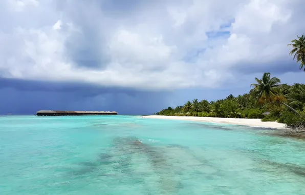Гроза, пляж, тропики, пальмы, океан, стихия, остров, Мaldives