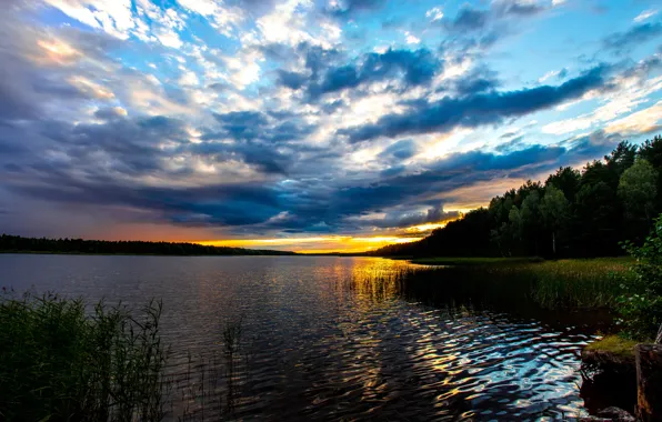 Волны, лес, вода, солнце, облака, пейзаж, закат, природа
