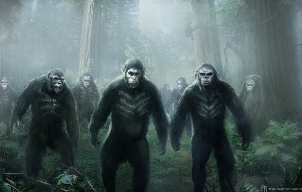 Картинка обезьяна, Цезарь, Caesar, Планета обезьян: Революция, Dawn of the Planet of the Apes