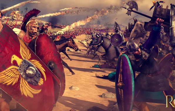 Axe, battlefield, sword, Total War, soldier, weapon, war, feathers
