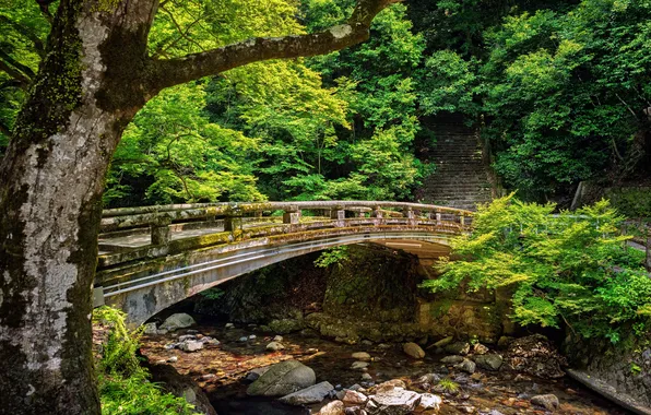 Зелень, деревья, река, камни, Япония, Japan, River, Minoh Bridge