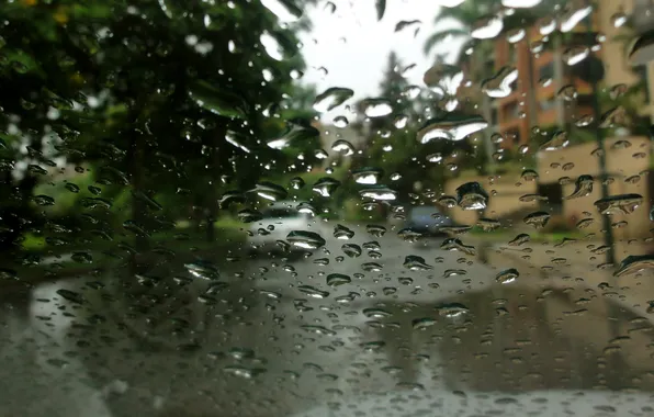 Стекло, капли, дождь, улица