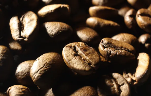 Dark, coffe, seeds
