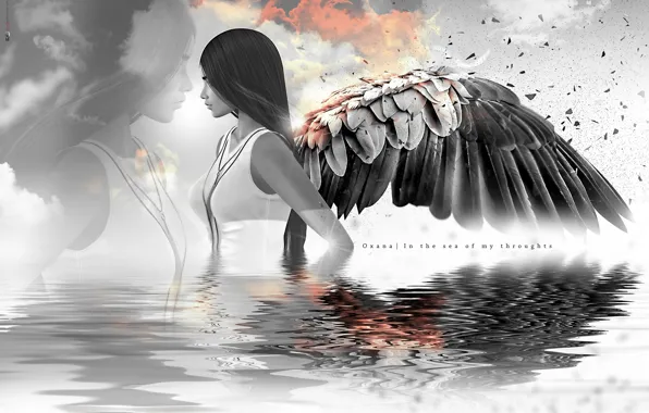 Картинка девушка, отражение, волосы, крылья