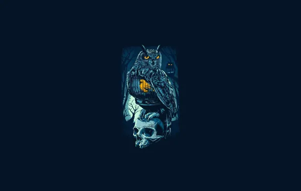 Skull, bird, Owl, cage